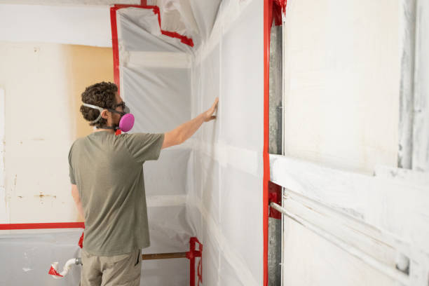 Mold Removal for HVAC Installations in Mio, MI