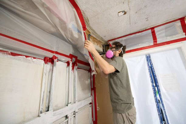 Best Post-Remediation Verification Testing  in O, MI